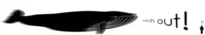 main image for Watch out! I’m a blue whale and I’m about to land on you!