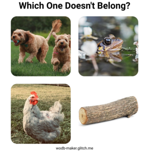 main image for Which One Doesn't Belong? maker