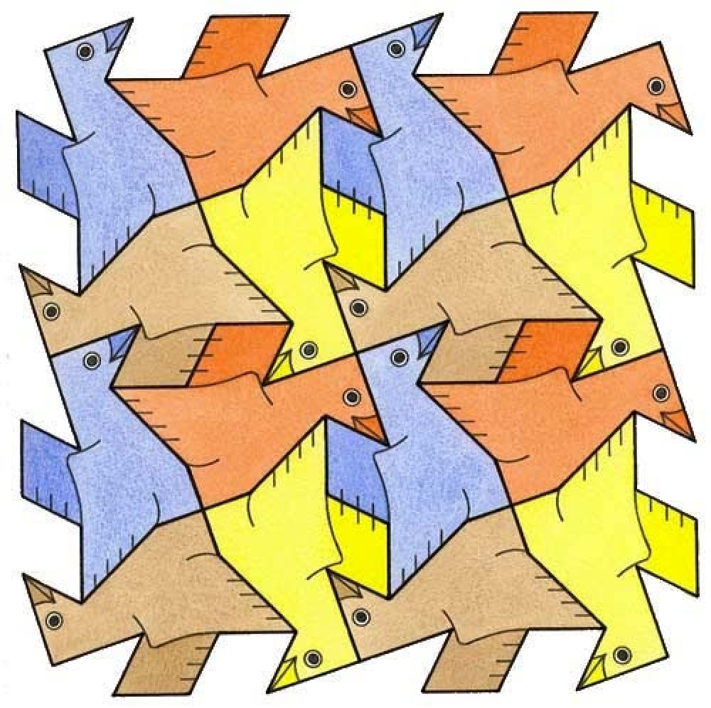 Birds, by David Bailey